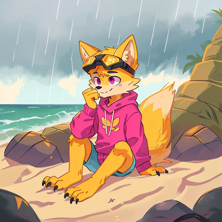 (A character), (fox with yellow fur and white chest), (under muzzle is white), (yellow fur), (white tail tip), (wearing a magenta sweater), (light blue scarf), (yellow jockey hat with orange visor), (orange visor), (magenta eyes), (slim and fit body), (apparently slim but strong appearance), (relaxed expression), (male), (medium height), (solitary), (white eyebrows), (4 toes on his paws), (5 toes on his hands), (magenta eyes), fluffy, (fluffy fur), (goggles), (black crystal goggles), (yellow paws), (background beach), (beach), (rocks in the sand), rocks, (his sweater covers his crotch), (yellow tail with white tips), (his paws and hands are yellow), (black paws), (claws), (golden fur), (golden yellow fur), (black pawpads), kerchief, (sitting), (cloudy), (cloudy day), (cloudy day at the beach), (rain), (rain at the beach), (rain at the beach), (yellow cap), (yellow cap with orange visor), young, (white eyebrows), (thick eyebrows), (claws on their toes), (claws on their fingers), (short claws), short, (medium heigh