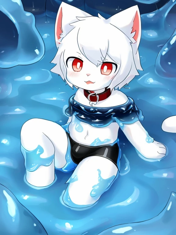 A male white cat wearing black boxers，Dive into blue slime，into the slime，（（Thighs covered with blue mucus）），slimes，The collar falls on the white cat&#39;body，Red pupils，Cat ears，Cat nose