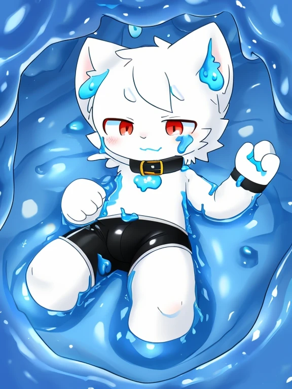 A male white cat wearing black boxers，Dive into blue slime，into the slime，（（Thighs covered with blue mucus）），slimes，The collar falls on the white cat&#39;body，Red pupils，Cat ears，Cat nose