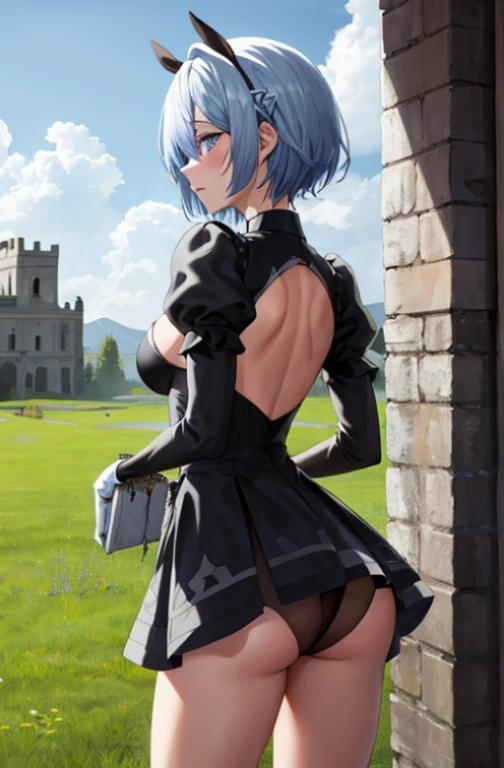 Masterpiece, Top Quality, High Resolution, HM2B, blue eyes, rem, blue short hair, Random hair decorations, clothing clippings, long sleeves, Puff sleeves, juliet sleeves, feather jewelry, black thighs, black gloves, Black Dress, black skirt, exteriors, grass, building, Ruins, field, backboob, Showing ass, black panties, Cowboy shot,