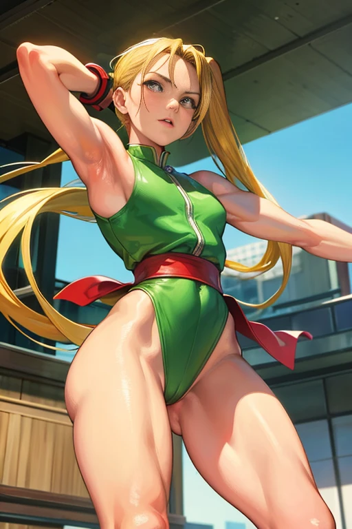 street fighter cammy, showing armpits and pussy, half naked.