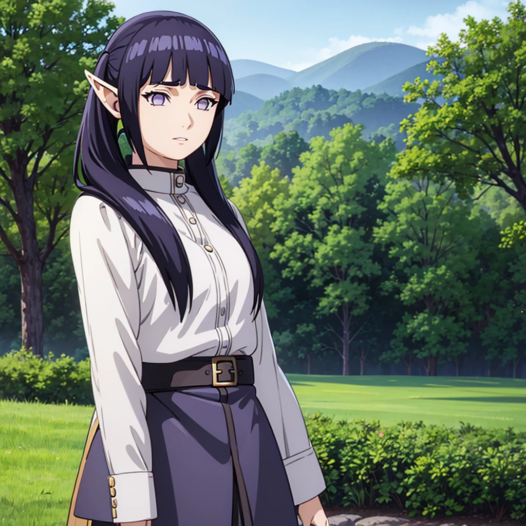 masterpiece, best quality, high resolution, masterpiece, best quality, illustration beautiful detailed girl,  highres, detailed, high resolution illustration, ultra-detailed, detailed background, long hair, dark blue hair, elf outfit, beautiful detailed sky, field, purple eyes, blunt bangs, perfect composition, detailed lips, cowboy shot, mage, twintails hairstyle, blunt bangs, frieren outfit, elf ears, hinata as frieren, medium breast