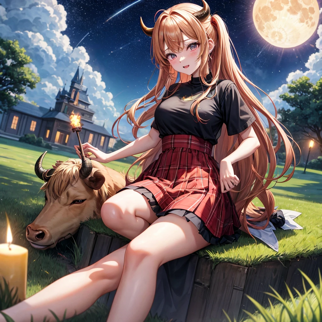Red-blonde、poneyTail、verd s eyes、one good looking girl、独奏、animesque、lightly dressed、Plaid miniskirt、a black T-shirt、grass field、sitting on、fullmoon、candle fire、Meteor swarm、Glittering starry sky、are flying、golden castle、A chicken is on top of the bull and the bull is going wild.