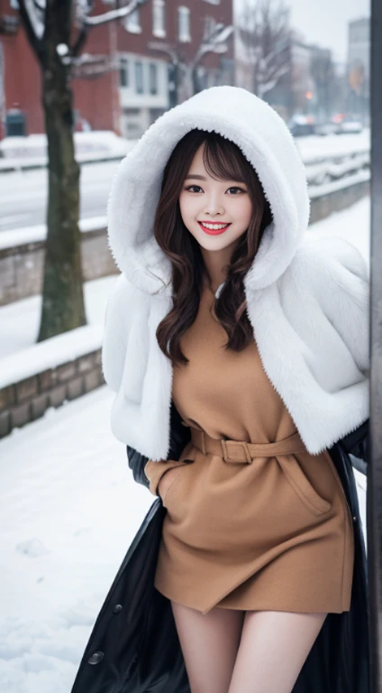 Best quality at best, 4K, 8K, Detailed faces,Full body photo，placed in a，Clear face, beuaty girl, Korean makeup, Redlip, Smilingly, perfect body figure,shoulder-length short hair,small,legs long,Slim,thin, Girl wearing long and wide fur coat, There  a top tube and a hood underneath the jacket, lower abdom, snow landscape, Winters, the street,