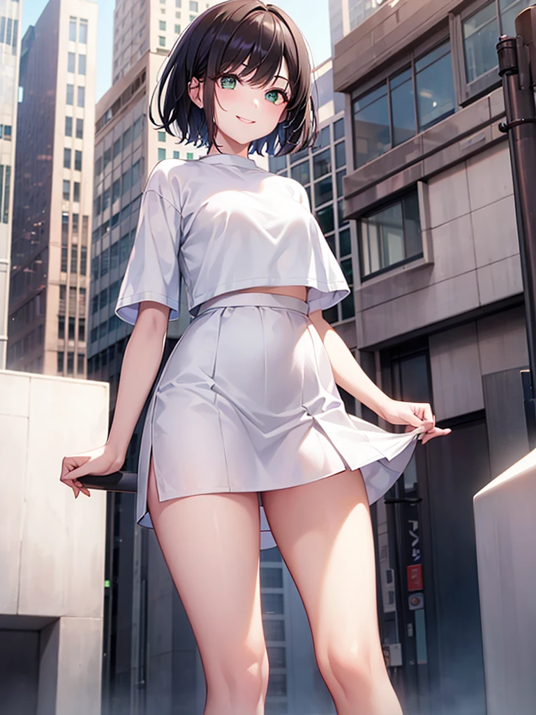 1girl ,white skin, smiling , city, short hair black , air light green eyes , plum skirt
and white T-shirts , long leg ,cowboy shot