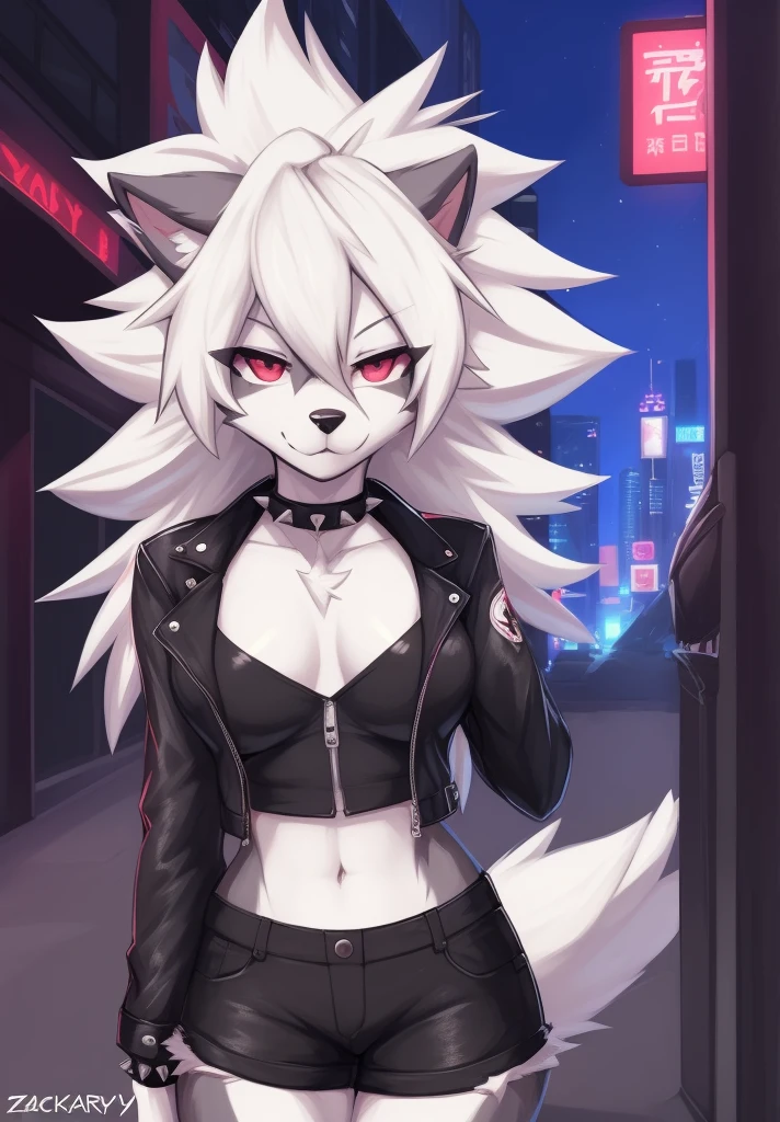 zackary911, by zackary911, anthro, lycanroc, hellhound, ((dark grey fur)), female, solo, 1woman, small breasts, shorts, tube top, leather jacket, wolf tail, ((shaggy hair)), ((white hair)), on e621, choker spiked collar, detailed body, finely detailed eyes, finely detailed paws, punk style, female focus, ((nipple bump)), ((dark grey belly)), city street scene,