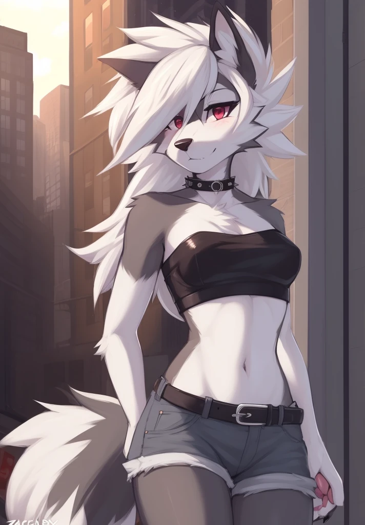 zackary911, by zackary911, anthro, lycanroc, hellhound, ((dark grey fur)), female, solo, 1woman, ((very small breasts)), denim shorts, ((tube top)), leather jacket, husky tail, ((shaggy hair)), ((white hair)), on e621, choker, leather collar, detailed body, finely detailed eyes, finely detailed paws, punk style, female focus, ((nipple bump)), ((dark grey belly)), city street scene,