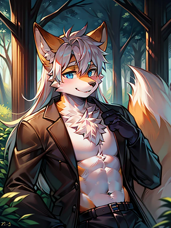 male, (male anthro cute fox):1.3, fur white and cream, fluffy chest fur, big fluffy tail, two ears, blue eyes, detailed eyes, forest