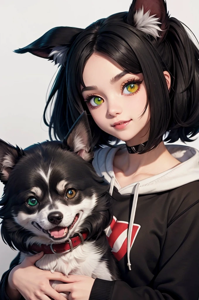 1girl, black medium hair, heterochromia, red eye, green eye, inumimi, dogs ears, gray sweatshirt, :3, little fangs