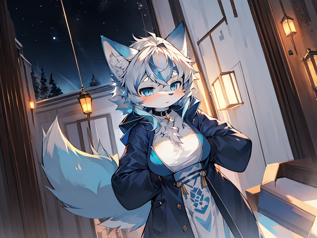 raw,tmasterpiece,Ultra-detailed photoest quality at best,超高分辨率,Photo Reality,full-body portraits,Amazingly beautiful,,Dynamic poseine face,A vibrant Eyeaster masterpiece:1.3), (ridiculous things:1.3), (Best quality at best:1.3), (ultra - detailed:1.3),(The best shadow:0.7), (Hair care), ( eBlue eyes:1.1), perfect anatomia, BREAK 1 GIRL, Alone, shaggy,white fox, starryskybackground, Best anime 4k konachan wallpaper,, detailed digital anime art, (()), ((White hair,White hair)), ((adorable expression),shaggy,long whitr hair, eBlue eyes, glowing light eyes, Girls boys, snowfall, midynight, fox ear, navy blue ears, fox tails, Dark blue fox, deep blue jacket, cute big breasts, collars, Two tail, space katana, fur body, the body of the,girls everywhere, lowerbody , Snow fox, peculiarity, tmasterpiece, furry tail, current, shy,Highest image quality, 8K, Full-HD, Tattooed,the body of the, Winters,,, lightblue hair, 10 years, Gamine