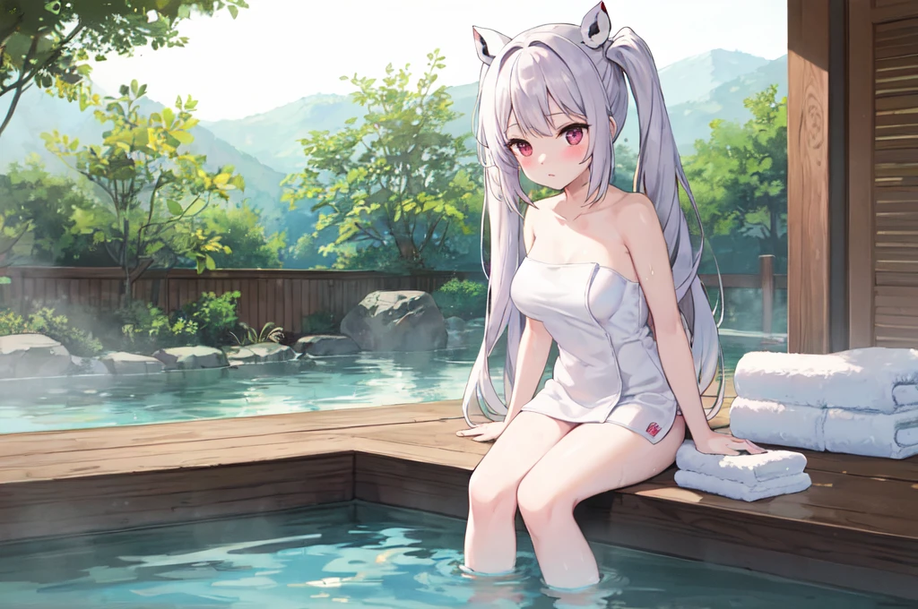 (hot onsen),((bath towels)),(Twin-tailed),Longhaire,White hair,Pink eyes,Soaking in hot springs,barechested,from adobe,Solo