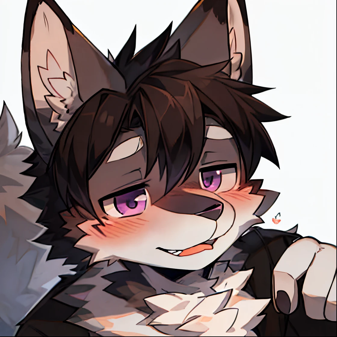 the only person,shaggy male,hairy pubic,aardwolf,canid,White fur,a purple eye,,out your tongue,the shy,There is a blush on the face,The top of the head is black,Black ears,The eyes are full of longing,drools