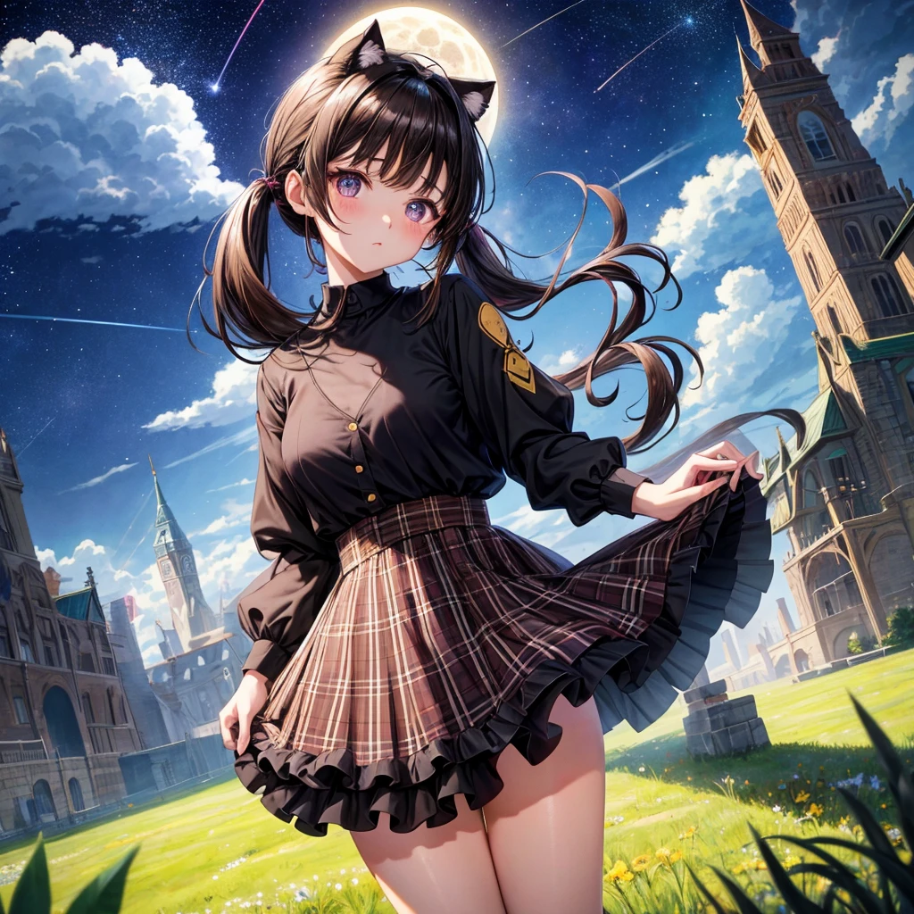 Black brown hair、poneyTail、verd s eyes、one good looking girl、独奏、animesque、lightly dressed、Plaid miniskirt、a black T-shirt、grass field、fullmoon、Meteor swarm、Glittering starry sky、rainbow butterfly flying