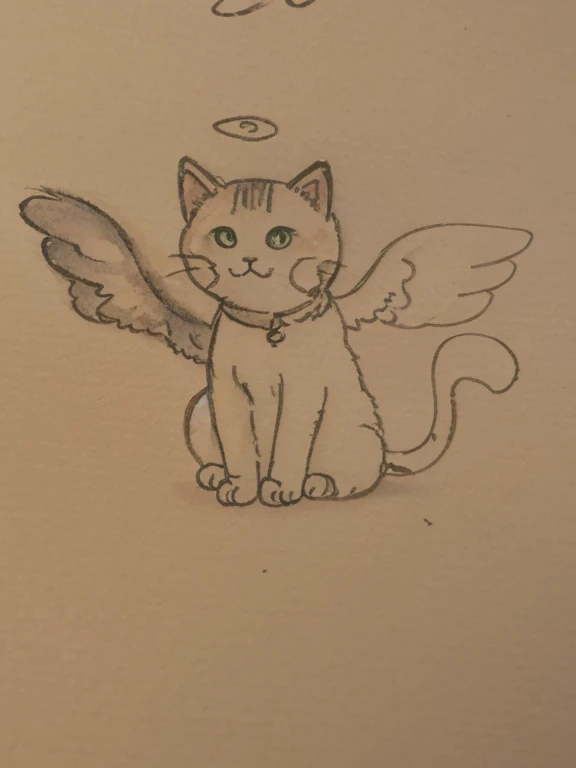Cat has wings，Color watercolor
