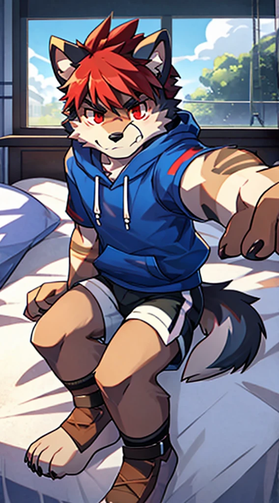 A  wolf with red eyes on the bed，male，Looking at the camera with an unhappy face，Wearing light shorts and a sky blue hoodie，There is a band-aid on the calf，short hairs，Humanoid with folded earull-shot，Cubs，cute bullied，cute big breastook in hand