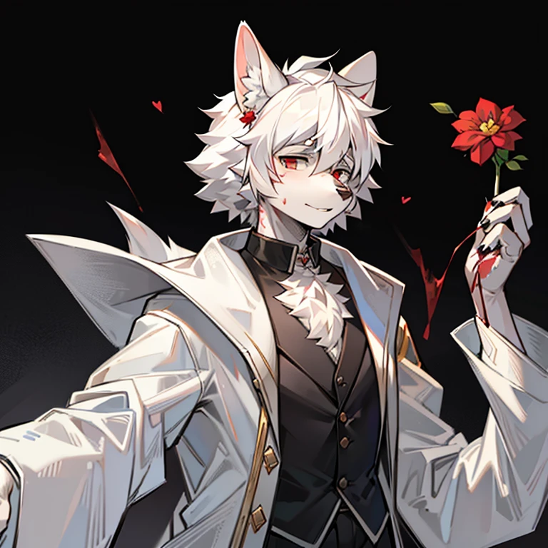 male dog ears,shaggy,White hair,the doctor,Thin white transparent coat opens,clothes stained with blood,Holding a bloody flower in hand,the only person