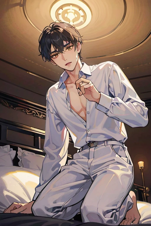 1 Boy, solo, dark hair, (white shirt), black slacks, on sheets, Long Sleeve Shirts, kneeling, seiza, cool, (sexy:1.3), Fascinating, (evil smile:0.5),(parted lips),collarbone, (shoot from below), (from below:2), sunset,(open collar), tsurime, Yellow eyes, (background: on bed in bedroom), high quality, high resolution, masterpiece,
