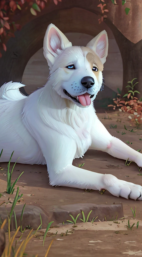 Feral!!, furry, panting, dog, samoyed breed,  detailed legs, , 1 tongue, 1 big canine dick , 1 anus, 2 canine testicles, detached 1 tail, , after orgasm, vivid colors, realistic , cum in canine ass, cum on floor, cum on canine dick   , realistic canine dick, horny, super realistic, hyperrealistic, photo, dog penis, anatomically correct genitals, beatiful!!!, model, male!, gay porn, gay, anatomically correct dog, panting orgasm, cumming, big dog, 1:1 breed!!