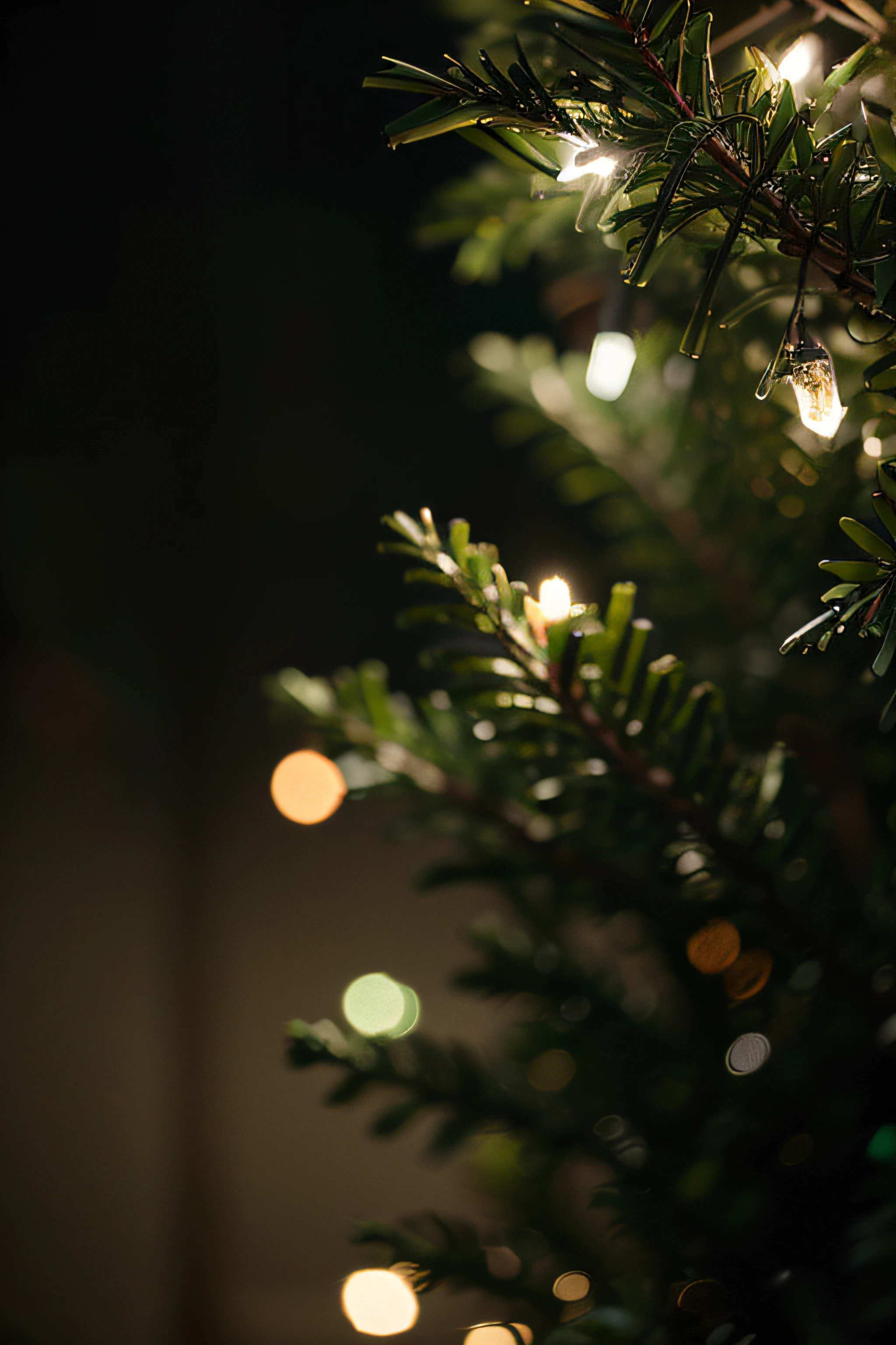 (realistic photography, high detail, panoramic view), many Christmas lights, green Christmas decorations, diffused light, shallow depth of field