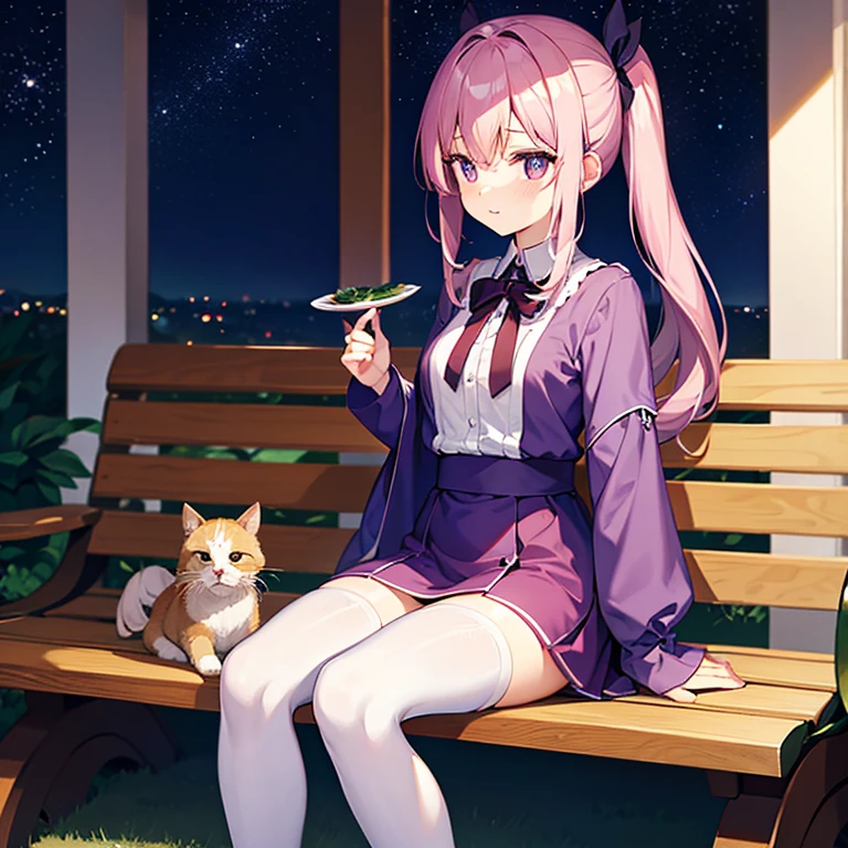 Silvery-white emanation,Double ponytailed hair,calm face,Be red in the face,purple pupils,Wearing white jk clothes,Pouting,White stockings,the night,Stars in the sky,Bench next to the park,delicate leg,Lovely face