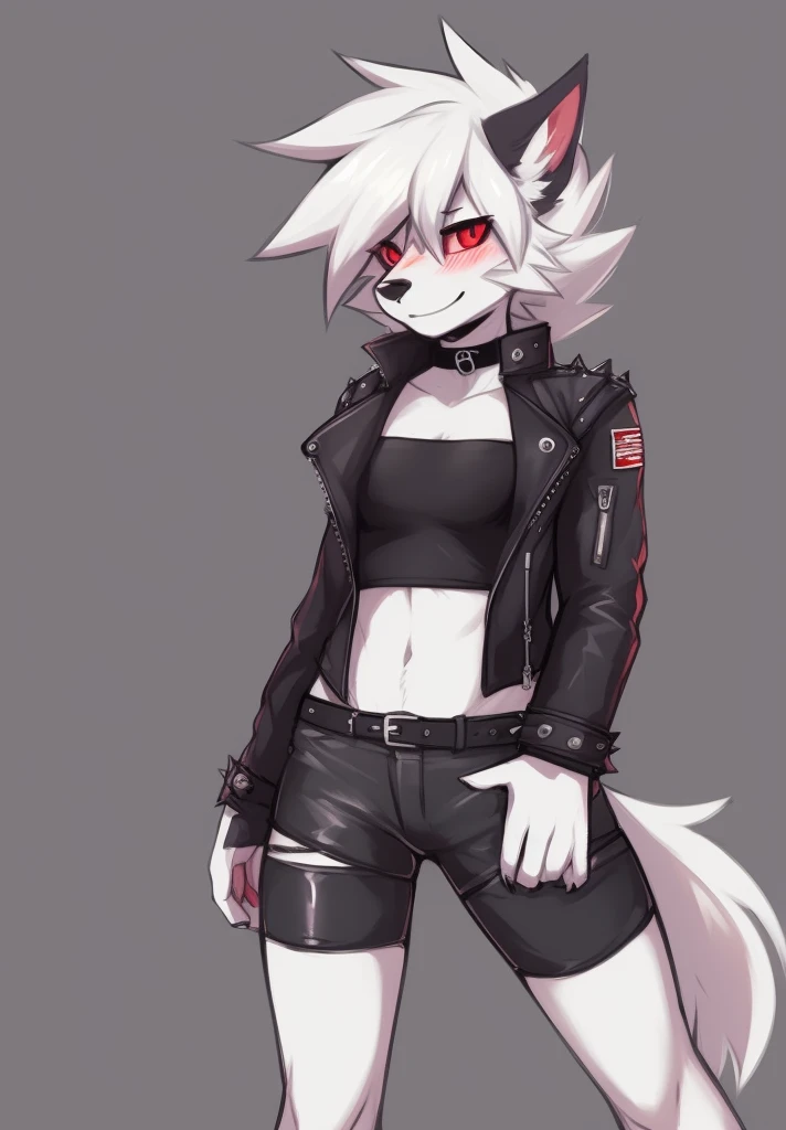 zackary911, by zackary911, anthro, lycanroc, hellhound, ((dark grey fur)), female, solo, 1woman, ((very small breasts)), ((tiny breasts)), leather shorts, husky tail, ((shaggy hair)), ((short white hair)), on e621, choker, leather collar, detailed body, punk style, red sclera, white pupils, digitigrade legs, embarrassed smile, blushing, inviting viewer, ((tube top)), ((mad max jacket))