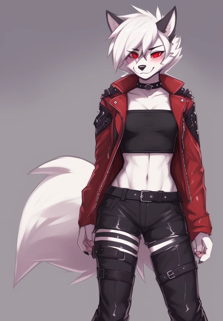 zackary911, by zackary911, anthro, lycanroc, hellhound, ((dark grey fur)), female, solo, 1woman, ((very small breasts)), ((tiny breasts)), leather shorts, husky tail, ((shaggy hair)), ((short white hair)), on e621, choker, leather collar, detailed body, punk style, red sclera, white pupils, digitigrade legs, embarrassed smile, blushing, inviting viewer, ((tube top)), ((mad max jacket)), shoulderpad on right shoulder, Inn