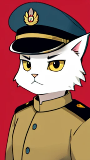 a cat standing,Wearing a commander's hat,Wearing commander's clothes,The expression is serious,clean backdrop。