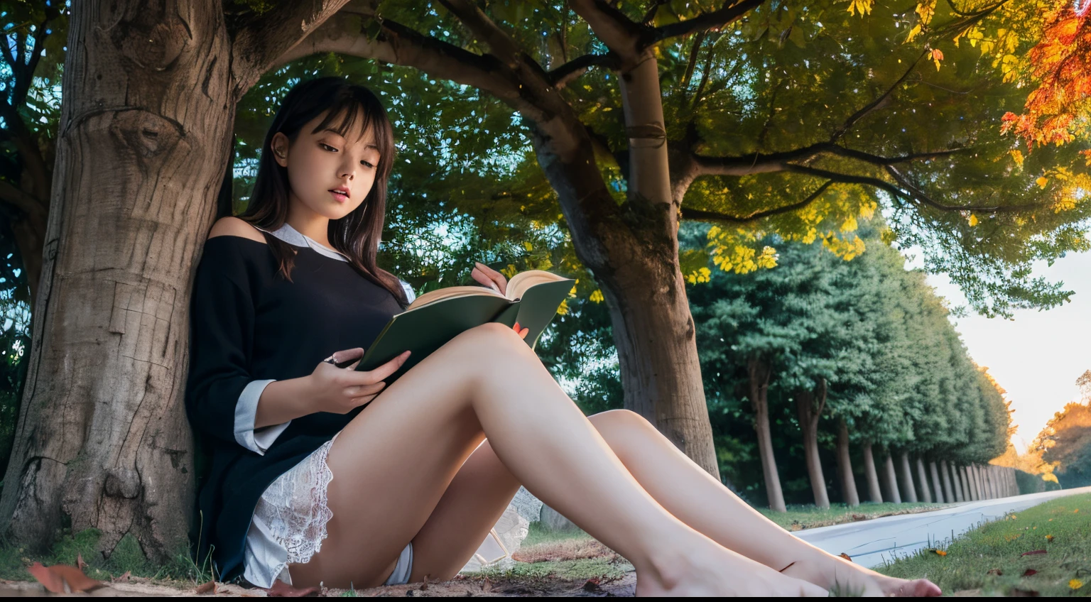 8K分辨率、Ultra-high-definition CG images、1girl in,Beautie、slenderbody、 (Sitting on the grass leaning against a tree, Reading a book, Knees together, Feet apart, up skirt,White lace panties、 (view from front, low angles), Onepiece, Detailed, morning, Sunrise, High resolution, ultra-quality, Super masterpiece, Colored leaves,