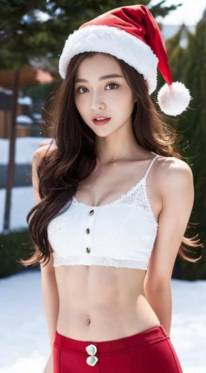 A woman with the same face as last time,1Man Woman、Slender Abs、Loose wavy styling、Please express it beautifully in every detail.................full body Esbian.Attractive position、snowscape、santa claus、 Including face and skin texture.,Detailed eyes,Seducting look、Backshots