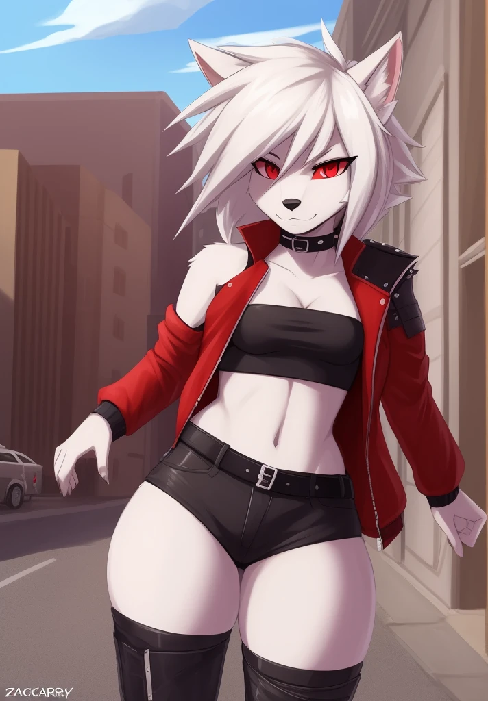 zackary911, by zackary911, anthro, lycanroc, hellhound, ((dark grey fur)), female, solo, 1woman, ((very small breasts)), ((tiny breasts)), leather shorts, husky tail, ((shaggy hair)), ((short white hair)), on e621, choker, leather collar, detailed body, punk style, red sclera, white pupils, digitigrade legs, inviting viewer, ((tube top)), ((mad max jacket)), shoulder pad on right shoulder, street scene, ((fully clothed)), ((thicc thighs)), digitigrade legs