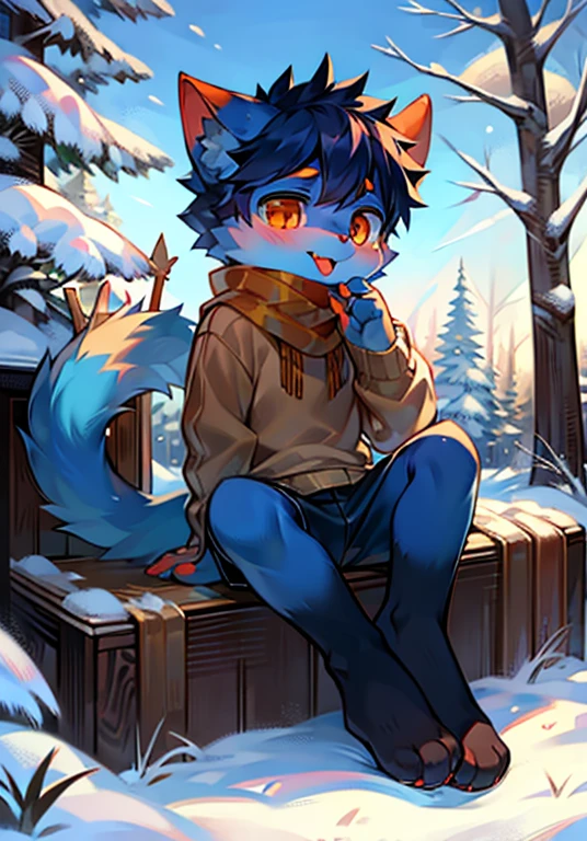 Anthropomorphic furry Cat character sitting on the edge of a cliff overlooking an evening sky over a lake with green grassy hills in the background. The furry cat character should have a fluffy chest and should only be wearing a wine red hoodie.
