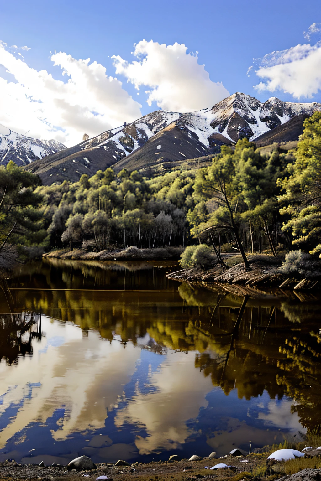 paisaje de pinos nevado