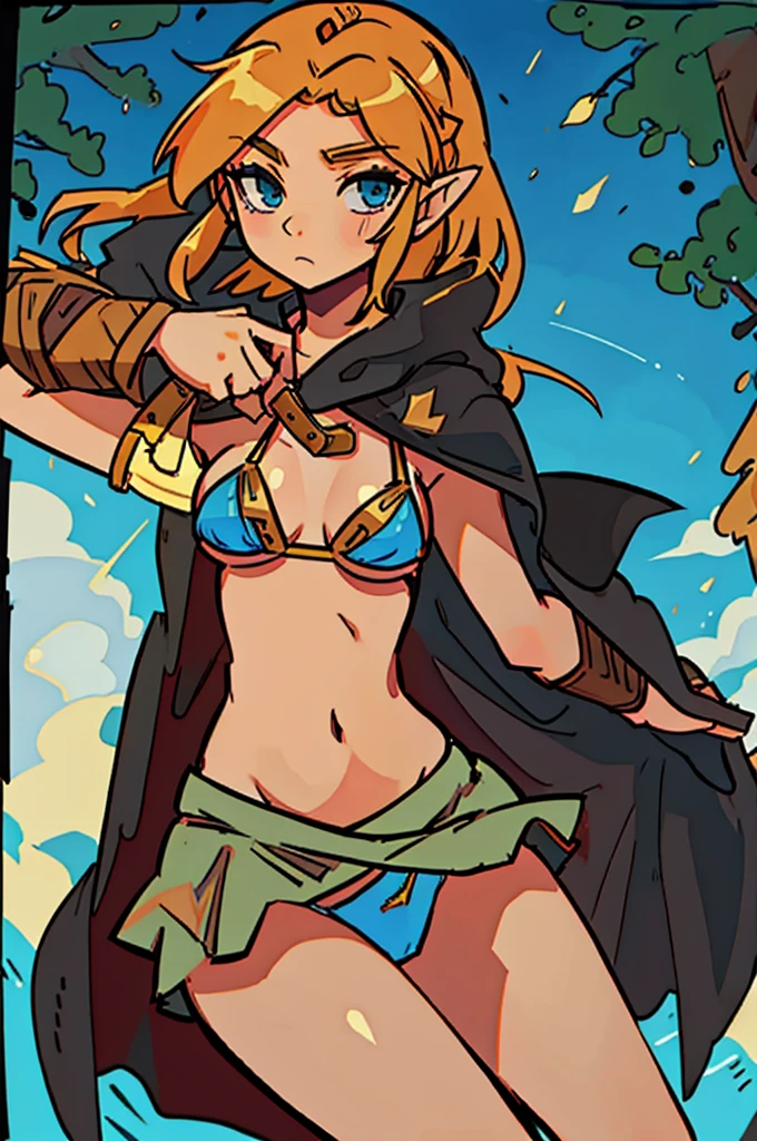 zelda, bikini, skirt, show underwear, cloak, sword in hand