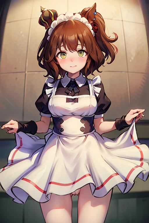 bottomless　Composition from the front　maid clothes　Lifting the skirt with both hands　lift your skirt so that your genitals are visible　Female genitalia are visible　Pussy spread　Not wearing pants　Semen overflowing from female genitalia　embarrassed look　Embarrassed expression