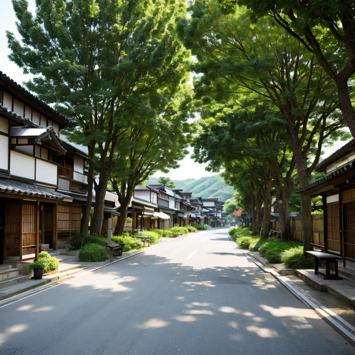 Japanese countryside town