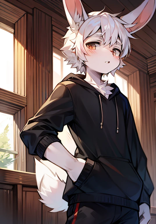 Rabbit with drooping ears, teenager boy, white haired, standing sideways from the front
