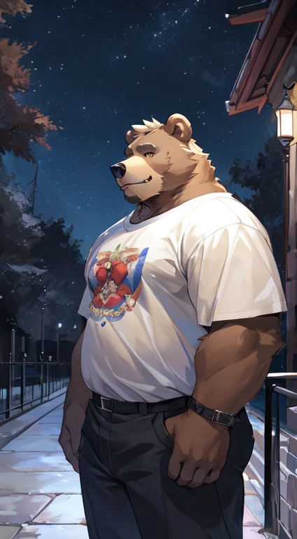 ((Best quality)), ((шедевр)), (Detailed), kemono, visage parfait, yeux bleu, visage mignon, anthro (bear), male, alone, (bear), position assis, ((background), nuit, ciel nocturne, parc, vegetation, assis sur un banc, lampadaire), ((clothes), t-shirt rouge, short beige, pieds nu), melancholy mood, furry art, dad body, hairy chest, bear body, bear face, furr body, expressive position, digital art, costaud, corps poilu, canine tooth,hd, wide dynamic range, hdr, par mystikfox61, par darkgem, par Glitter Trap Boy, par bebebebebe