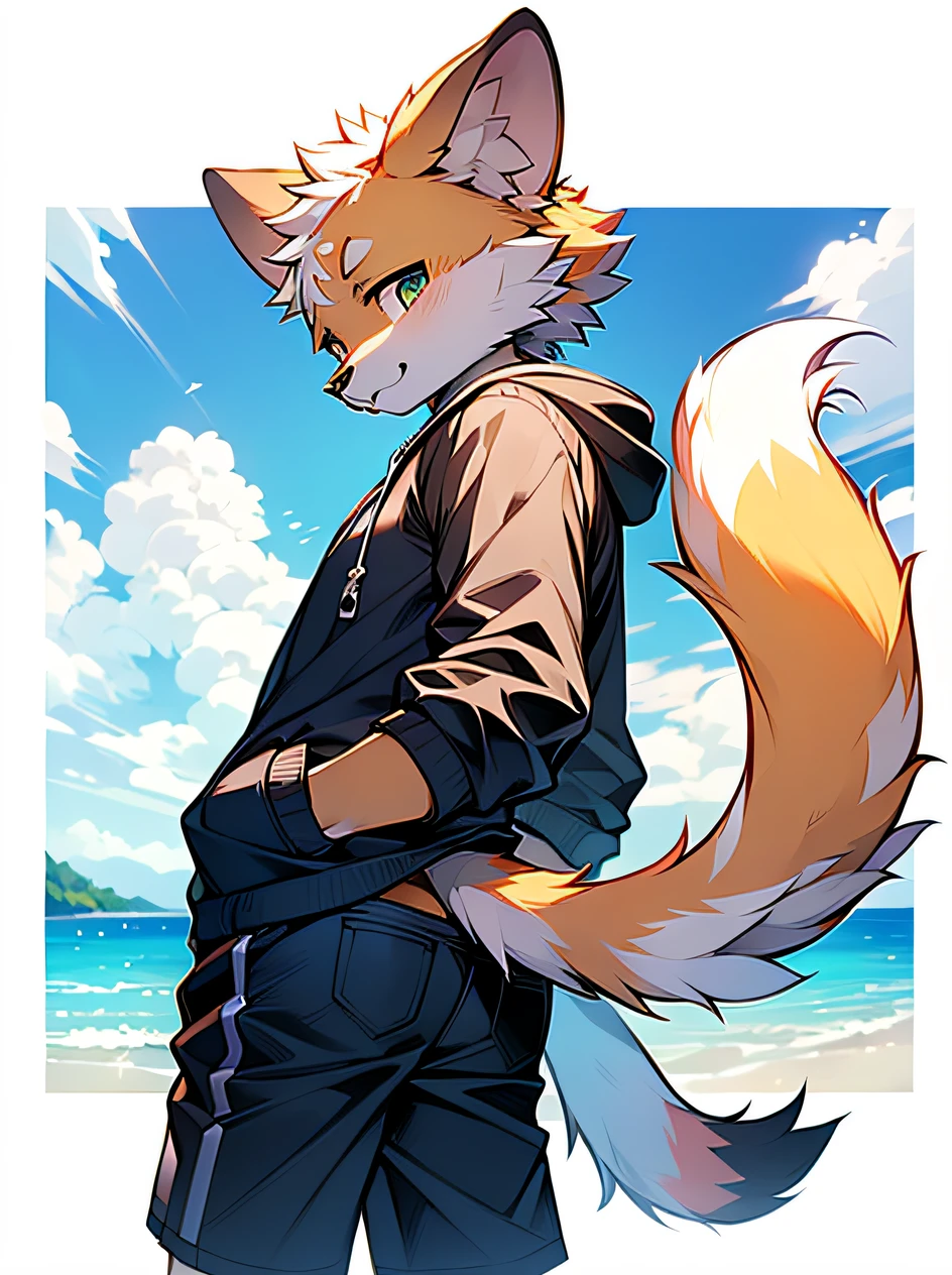 tmasterpiece,A high resolution,8K,detailedbackground,high high quality,(Yellow fur,No hair,Turquoise fluffy fur,Delicate fur)) hairy pubic hair, Broken, Muscular, horny boy, human - shaped, shorter pants, swim trunks,sandbeach, 独奏