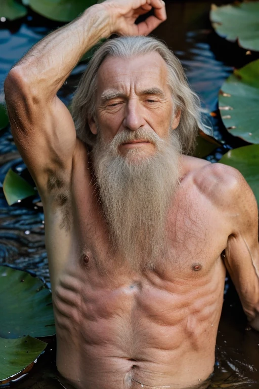 John Glover, An elder with a long beard and white hair, with a serene face wrinkles, looking producing, body older weak, skinny bones hairy, body naked, his shirt was open to reveal his stomach wrinkles older hairy weak and chest, arms legs neck hands feet skinny old and weak, shy and blushed, Lying in the water,water lily,lotus leaf,Closed eyes,master-piece,4K images,beste-Qualit