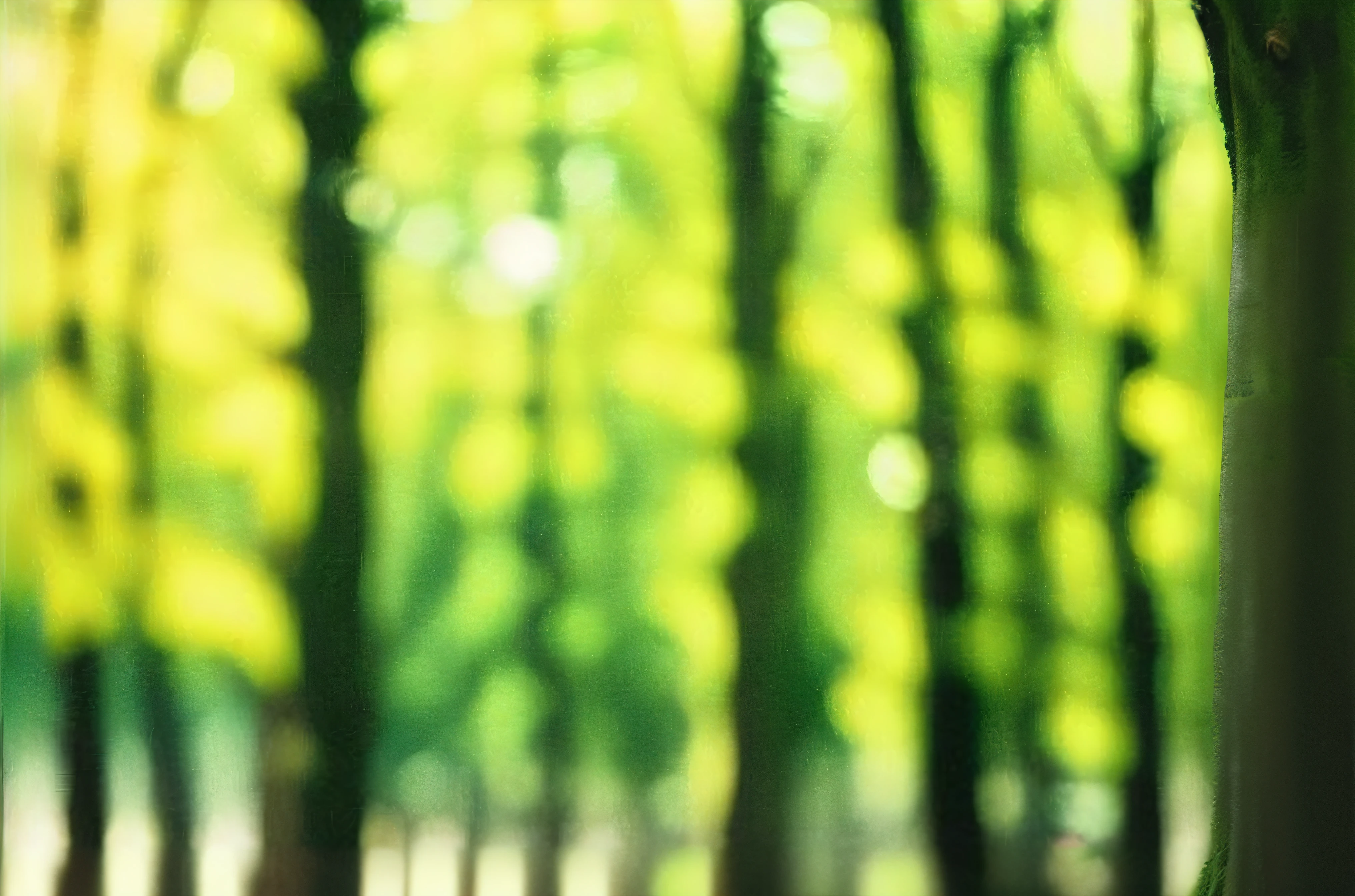 there is a red fire hydrant sitting in the middle of a forest, blurred forest background, bokeh forest background, in a background green forest, soft forest background, forrest background, forested background, green forest, blurred environment background, blur dreamy outdoor, soft blur outdoor background, green trees, woods background, bright forest, forest background, constant green background