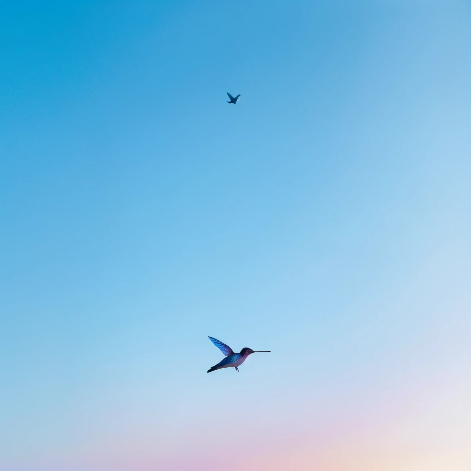 A hummingbird,are flying,Background is blue gradient,Hummingbird in black and white gradient,Hummingbirds with hummingbirds underneath