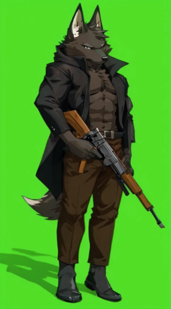 Black fur anthro wolf, two hands Holding assault riffle. Wearing black cloak (long jacket) (chest muscle uncovered (detailed)), wearing dark pants, no shoes. Feet looks like paws. Two hands holding assault riffle (ak47) (detailed). Short ears. Two hands (detailed) holding assault riffle