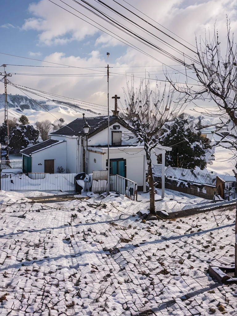 muita neve, manto de neve, arvores com neve, telhados com neve