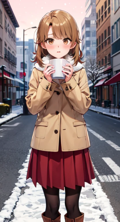 Isshiki Roha,Long Straight, brown haired, ,Brown-eyed, long court,muffler,Sweaters,long skirt,Brown Short Boots,red blush,In the street,Cold sky,It's snowing,Solo,