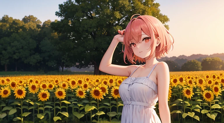 a pink short-haired anime girl with sunset orange eye color, and she was in a sunflower garden