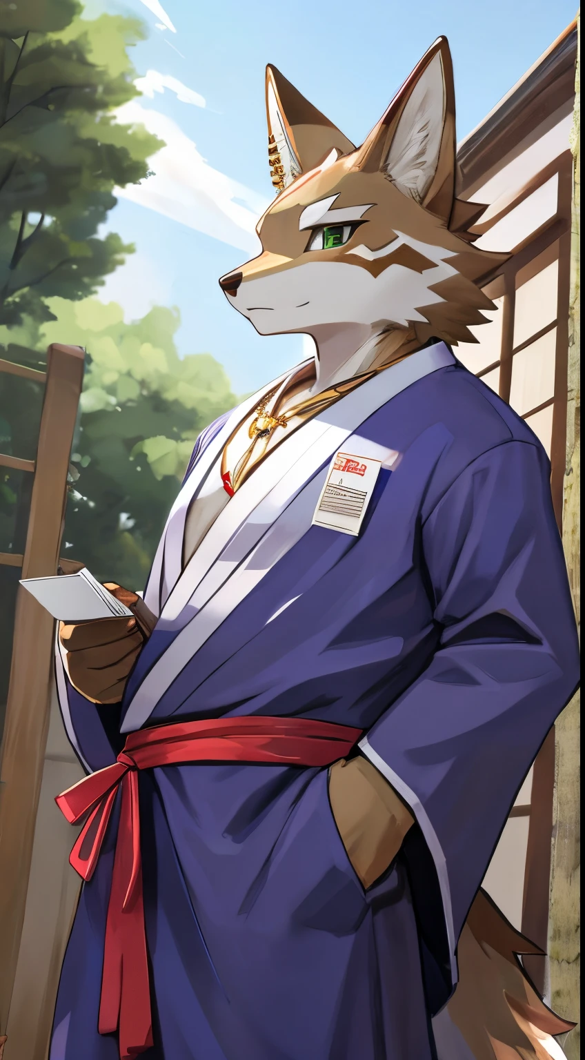 Seto (Tokyo After-School Summoners), Seto(Wandering Longing), Seth (it), Seto, Kazuma Koda, coyote, gold necklace, Gold jewelry, Ear piercing, Green Eye, Grey Body, white body, Brown Body, stripes, stripes body, High Quality, 8K, High image quality, NSFW Works, pixiv, Business card, shadowy, A composition where the whole body is visible, The right ratio, skiny, Sexy, Sexy muscles, Traditional Japanese Costumes, wear a purple yukata, The wind blows