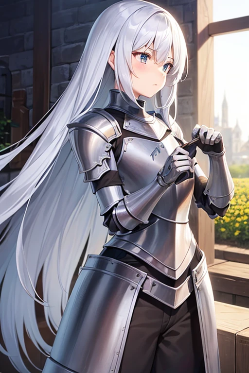 knight, field, silver armor, solo, man, long hair, upset, blushing, thin waist