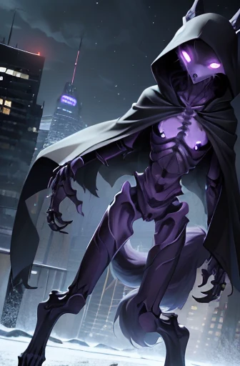 girl, wolf face, demon, ((slender)), ((protruding hipbones)), cyborg digitigrade legs, furry tail, ((protruding rib bones)), purple glowing eyes, serious expression, lace hooded poncho, night, snowy city, serious expression,