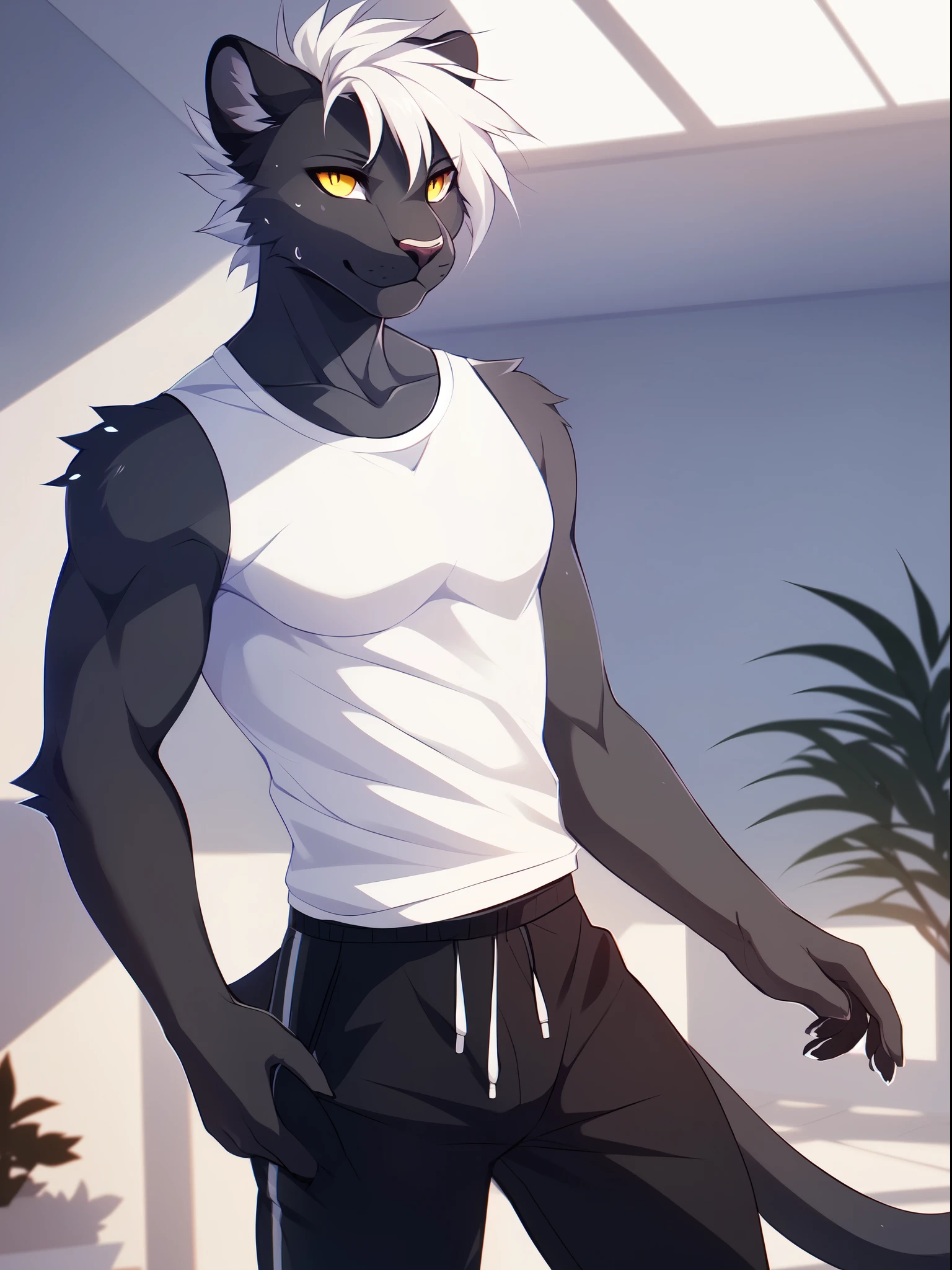 Solo, male, a cute light grey anthro furry panther boy, light grey fur, a single panther tail, muscular, white spiky hair, yellow eyes, by fumiko, by hioshiru, indoors, tight white shirt, grey sweat pants, standing