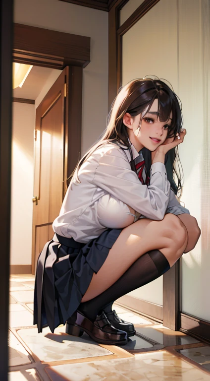 Realistic, Lip gloss, Realistic, Best Quality, 超A high resolution, Depth, Pastel colors, natural shadows, Focus on Face, Just face, Looking at the viewer, Long hair, Brunette hair, A masterpiece of brown and detailed eyes, Best Quality), 1 girl, Solo, (from the front side),
(Shut up), Smile, Parted lips,
Shiny skin, thick thighs, White panties,
School uniform, Therap, Pleated skirt, lowfers, Black socks, Crouching, Indoors, gaze at the audience, Anatomically correct, big breasts, giga_busty